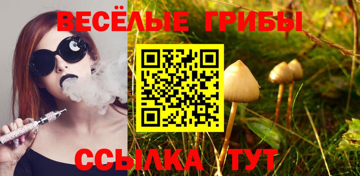 Чебоксары  Псилоцибиновые грибы мицелий  Вход с VPN  Галлюциногенные грибы прущие грибы 