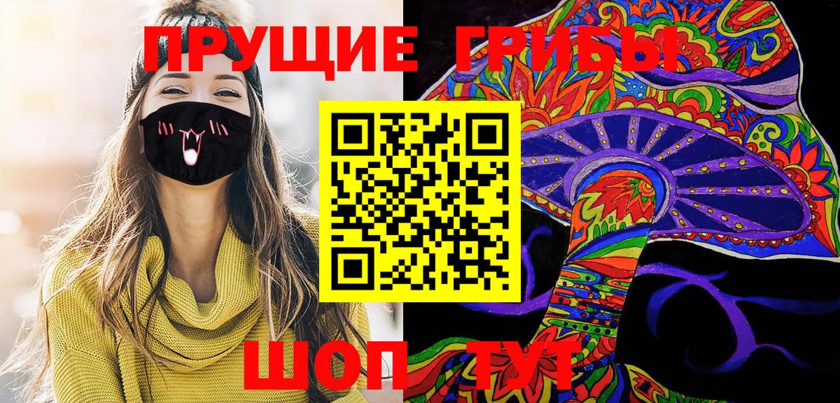 Псилоцибиновые грибы Cubensis Чебоксары